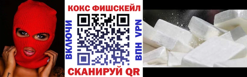сколько стоит Губкин COCAIN VHQ